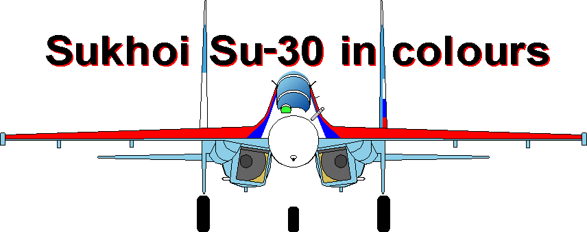 Sukhoi Su-27 and Su-30 in colours